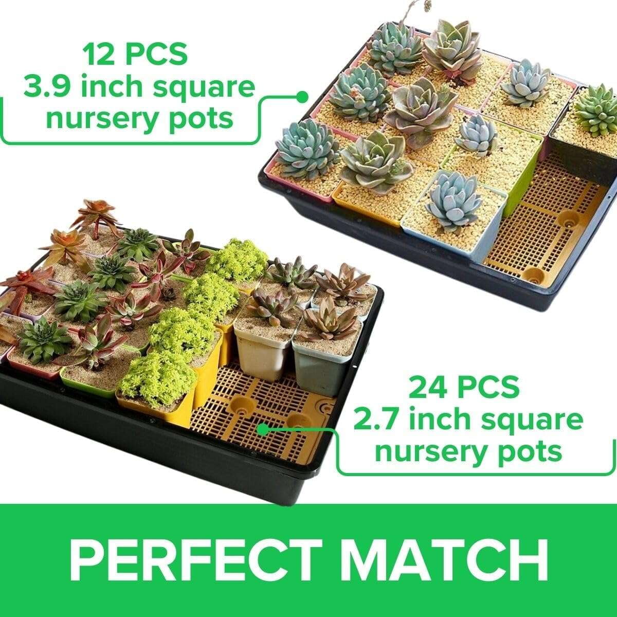 BeGrit Sturdy Seed Starter Trays 13x17inch Seeds Starting Deep Tray Plant Trays 5 Pack