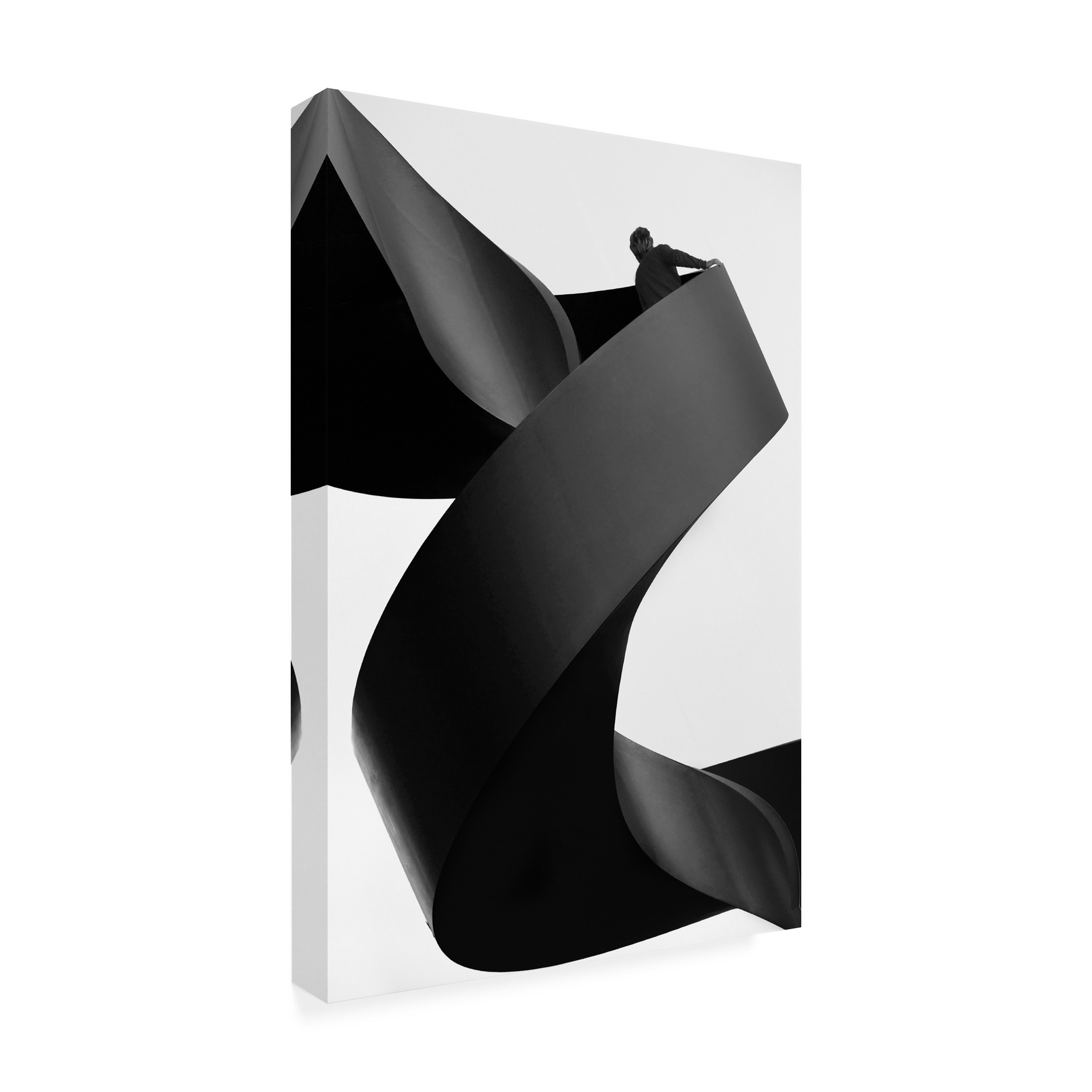 Paulo Abrantes 'Moving Still' Canvas Art