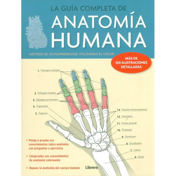 ANATOMIA HUMANA LA GUIA COMPLETA METODO DE APRENDIZAJE UTILIZANDO