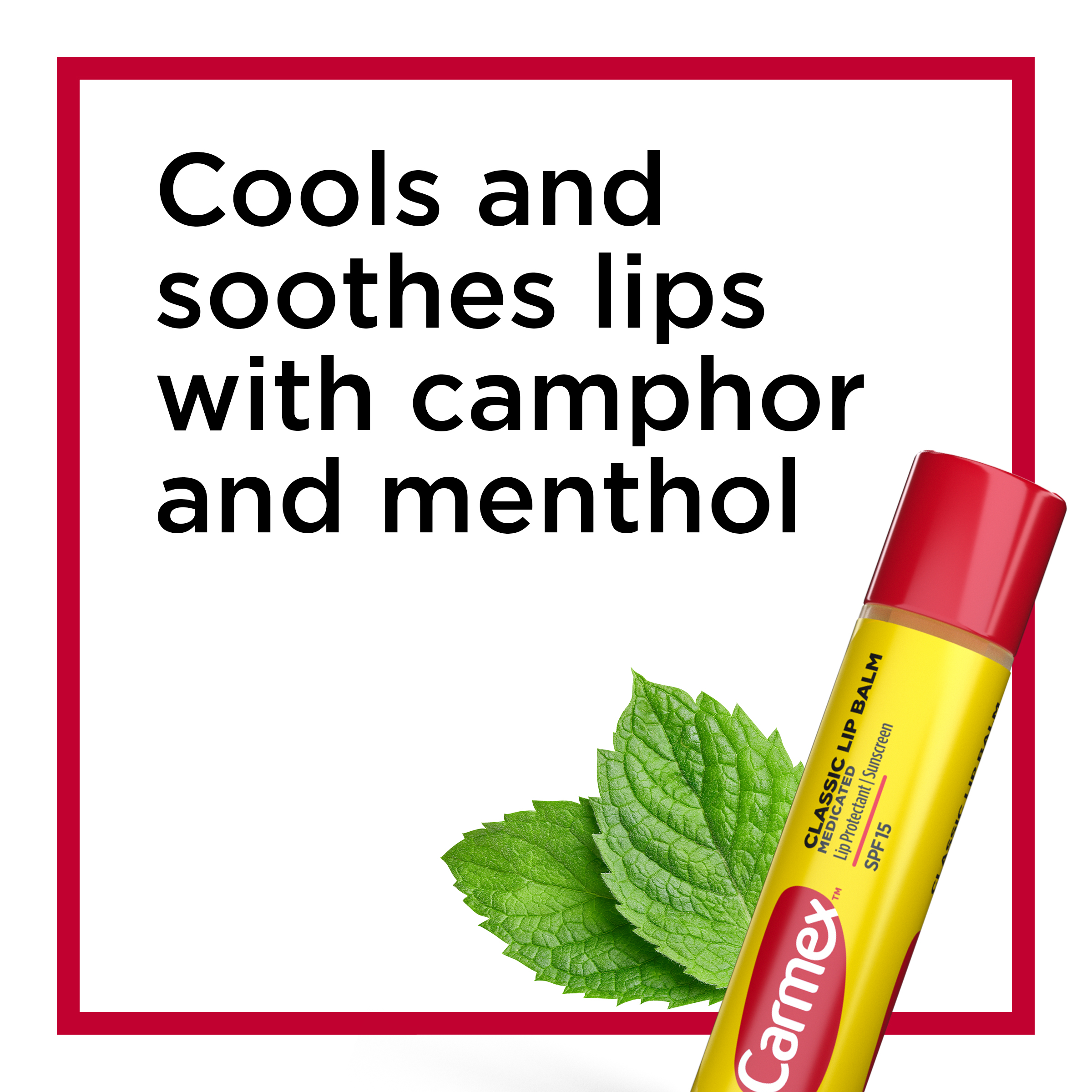 Carmex Moisturizing Medicated Lip Balm with Cocoa Butter, Camphor & Menthol, Multi-Flavor, 24 Pack - image 6 of 11