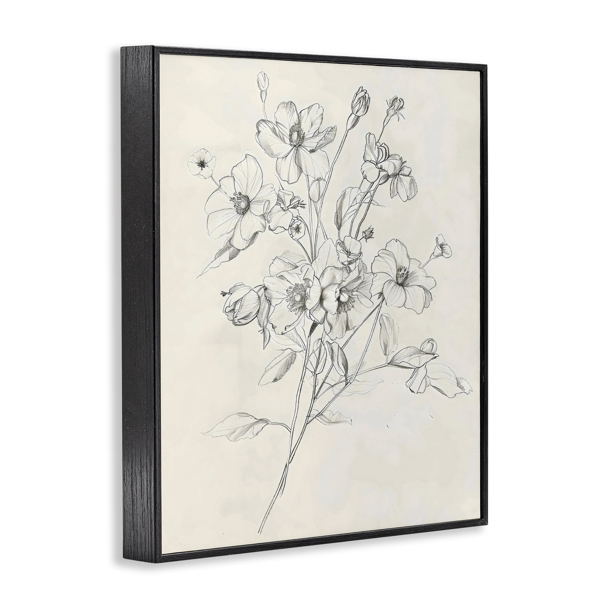 Stupell Industries Wildflower Outline Study Black Framed Giclee Art, design by Creative Studio