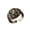 bronze, variant on Patriotic Liberation Ring, commemorating the 250th anniversary of American independence (1776-2026), unisex adjustable inspirational ring, a gift for history buffs and patriots.
