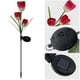 thumbnail image 5 of Solar Outdoor Tulip Flower Lights 2pcs LED Lawn Lamps, 5 of 5