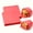 Red-2PCS, variant on 100Pcs Grease Resistant Square Deli Paper Sheets 12 x 12 Inch, Disposable Food Wrapping Liner Paper for Fried Chicken Snack Basket Packaging, Pink