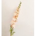 thumbnail image 1 of 3 flores artificiales: delfinios flocados, flores de seda, decoración for el hogar, decoración for bodas, jacintos, brotes de helecho, 1 of 2