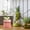 C, variant on Goowood Cute Humidifier 320mL Cool Mist Humidifie Mute With 2 Mist For Home/Nursery/ Portable Moisturizer Rechargeable Humidifier Humidifier Home appliances
