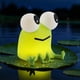 thumbnail image 1 of Luz nocturna YISUN Frog de silicona suave recargable LED para niños, 1 of 8