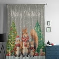 thumbnail image 5 of Winter Squirrel, Semi Sheer Curtains Drapes for Living Room, Bedroom, French Doors Window 54 Inches Long, Christmas Winter Snowflake Grey Rod Pocket Chiffon Curtain Drapery Voile Draperies Panel, 5 of 6