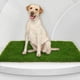 thumbnail image 4 of Bandeja portátil para perros ANGGREK absorción de olores resistente al agua fácil limpieza bandeja de inodoro para perros multiusos reutilizable con césped artificial, 4 of 7