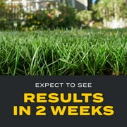 Turf Builder Triple Action1, 12,000 sq. ft., Lawn Fertilizer with Weed Control and Preventer