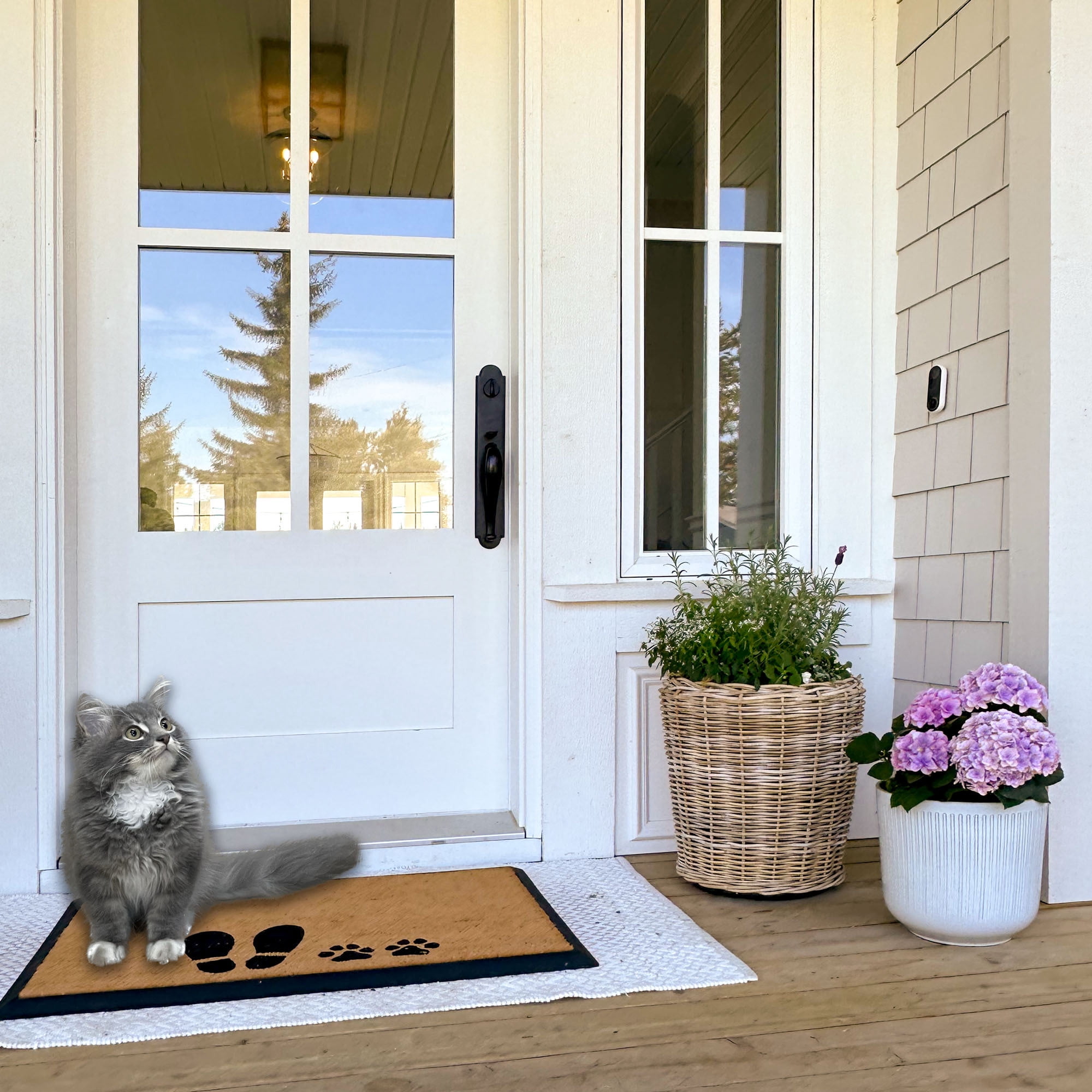 4 Cats & Dogs: Convertible 27 x 39" Entrance Mat, Hello & Goodbye (Includes Rectangle Core & Frame)