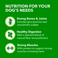 thumbnail image 5 of Iams Proactive Health Chicken And Whole Grains Flavor For Large Breed Dry Dog Food, 40 Lb Bag, 5 of 12