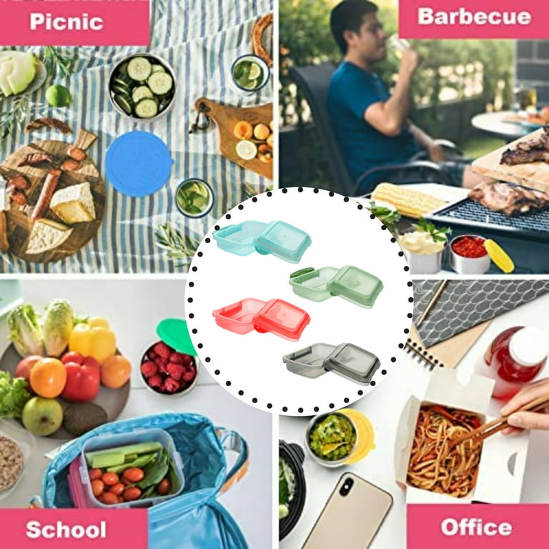 Plastic Rectangular Snack Containers with Lock-Top Lids, Mini Food Storage  Plastic Reusable Container for Pantry & Kitchen Organization Snack, Lunch,  Picnics Camping Bento Box Set of 6 Colors Vary 