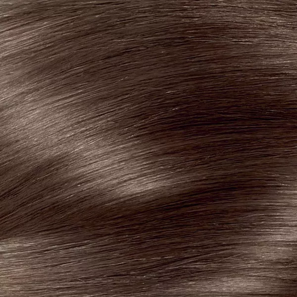 L Oreal Paris Excellence Triple Protection Permanent Hair Color 6 3 13e1dc4d 95f1 479d A73e D715d5355c11.55aff8730ca75cac7bfd189e2053fa6e.webp