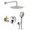 Chrome, variant on Rainlex 10 in. Shower Head Single-Handle 3-Spray Round High Round High Pressure Shower Faucet in Matte Black