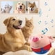 thumbnail image 5 of Dibujos animados de cerdo en movimiento activo en movimiento de mascotas de peluche lavable para perros usb recargable que se mueve el juguete de pelota para perros para perros gatos, 5 of 7