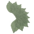 thumbnail image 2 of 10 Pcs Masque Feuille Feuille Compresse Humide Feuille Jetable pour Salons Spa Maison, 2 of 8