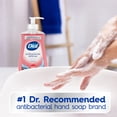thumbnail image 6 of (3 pack) Dial Antibacterial Defense Pomegranate & Tangerine Liquid Hand Soap, 11 fl oz, 6 of 15