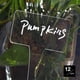 thumbnail image 1 of 12 Uds etiquetas reutilizables transparentes perfecl para plantas Estilo A, 1 of 8