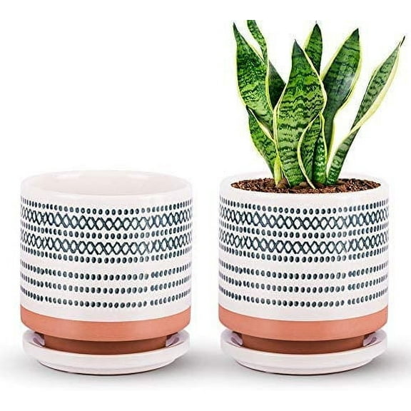 Succulent Pots, 5 Inch Ceramic Planter Plant Pot with Porcelain Saucer, Drainage Hole for Snake Plants, Jade Plant, Herbs, Set of 2