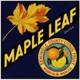 thumbnail image 2 of Anonymous 12x12 Black Ornate Wood Framed Double Matted Museum Art Print Titled: Maple Leaf Brand Citrus Label (1940s), 2 of 5