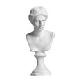 thumbnail image 1 of Escultura famosa, busto de yeso, estatua, figura de la mitología griega, retratos de yeso Venus, 1 of 9