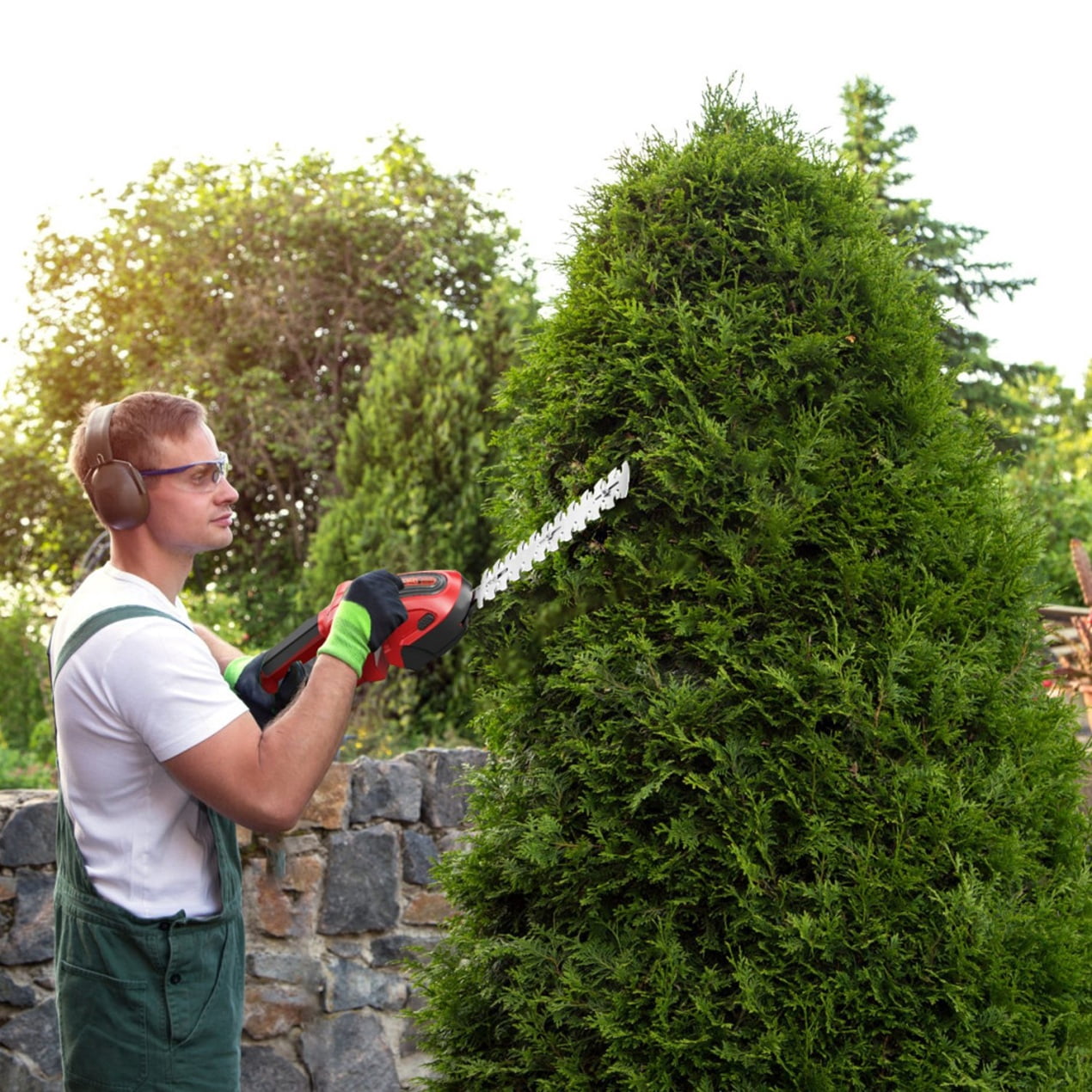 24V Cordless Grass Shears, 2000RPM 2-in-1 Handheld Electric Grass Cutter/Shrubbery Trimmer, Mini Shrub Trimmer Battery Operated Hedge Trimmer with Detachable Battery for Garden Lawn