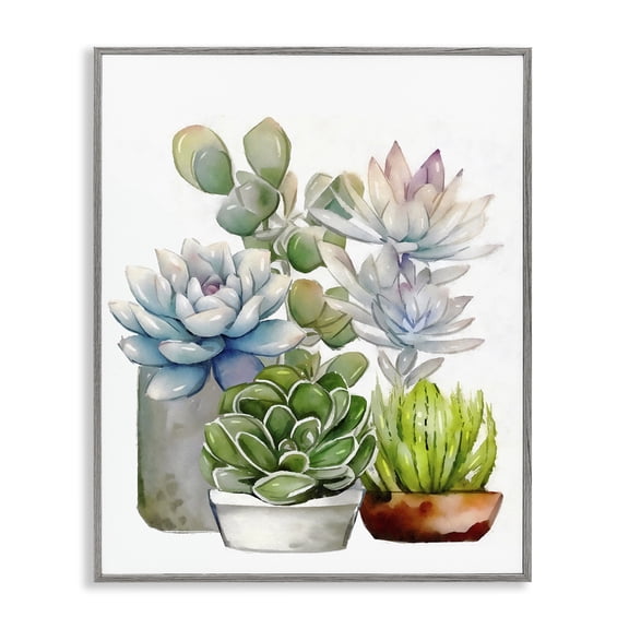Stupell Industries Farmhouse Mixed Potted Succulent Garden Gray Framed Giclee Art, 16 x 20, by Ziwei Li