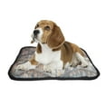 thumbnail image 2 of ABPHQTO The Old Wooden Door Pet Dog Cat Bed Pee Pads Mat Cushion Potty Dogsblankets Crate Bed Kennel 20x24 inch, 2 of 4