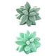 thumbnail image 1 of 2 piezas de suculentas tiro almohada lindo cojín Patio decoración ornamento 1 Gloria Almohada de cactus suculentas, 1 of 1