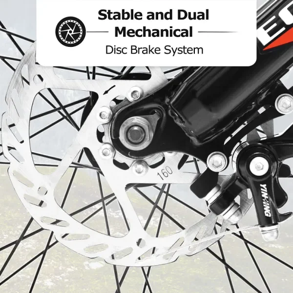 Double disc orders brake bicycle