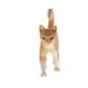 thumbnail image 2 of Figura de gato en miniatura de simulación, juguete para el hogar, figuras para mascotas, juego de regalo para niños, gato B Gato 2, 2 of 7