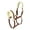 Brown, variant on Henri de Rivel Sherpa Fleece Halter with Leather Breakaway