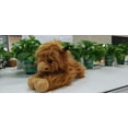 thumbnail image 6 of Realistic Highland Cow Plush Toy - Soft Skin-Friendly Stuffed Animal for Home Decor & Companion, 6 of 6