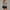 Gray, variant on Zunfoe Tankini Swimsuits for Women Tummy Control Tankini Top with Swim Skirt Summer Beach Bathing Suit Two-Piece Beachwear