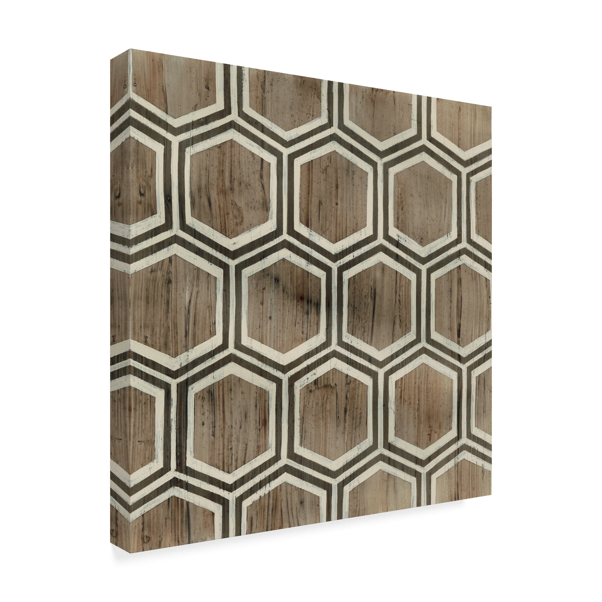 Trademark Fine Art 'Driftwood Geometry IV' Canvas Art by June Erica Vess