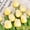 SingleTulip(Champagne)*10, variant on Real Touch PU Tulips Artificial Flowers, Lifelike Faux Tulip Bouquet for Home Decor Wedding Photography Props Wholesale Bulk Pack for Events & Retail