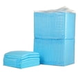 thumbnail image 1 of 100pcs Dog Training Piss Pads Super Absorbent Disposable Soft Pet Diaper, 1 of 5