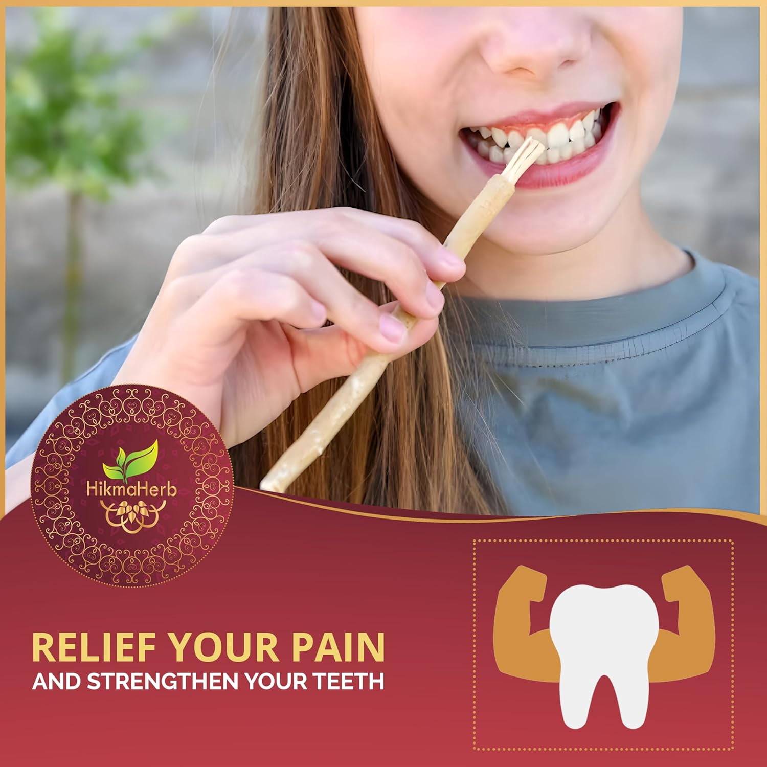 12 Natural Miswak Sticks With 2 Holders - Teeth Cleaning Chewing Sticks For Whitening, Fresh Breath & Oral Health