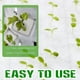 thumbnail image 5 of 1200 Piezas Cuadrados de Esponja para HidroponíA, Herramienta de PlantacióN de Esponja HidropóNica - Esponja HidropóNica de Invernadero - Esponjas Cuadradas, 5 of 5