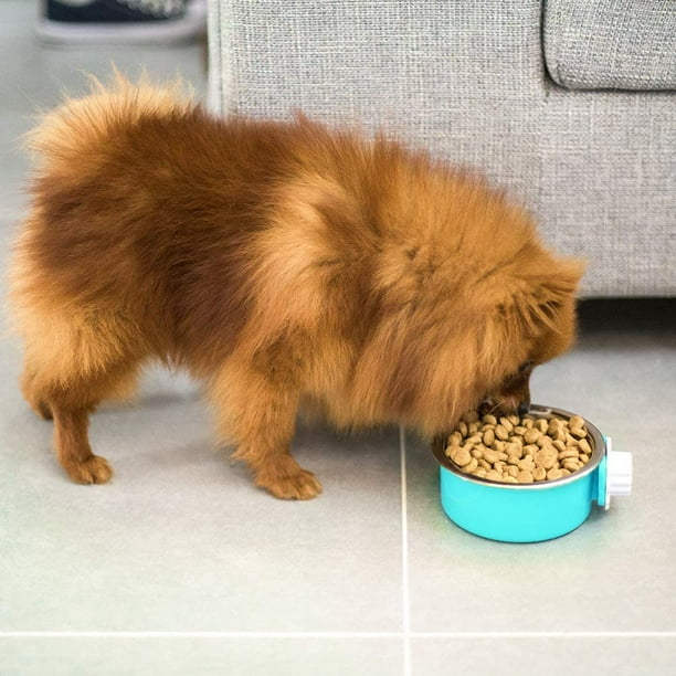 Coop pedigree top dog food