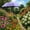 Purple, variant on Patio Umbrellas UPF 50 Adjustable Shade Umbrella,Beach Umbrella,Beach Clamp on Umbrella,suitable for Patio,Beach Chairs,Golf Carts,Wheelchairs,Carts,Bleachers,Camping and Fishing(G)
