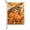 Orange, variant on Thanksgiving Cat Garden Flags For Outdoor, Fall Vintage Country Orange Pumpkin Maple Leaf Berry Small Double Side Yard Flags Weather Proof Garden Decor for Lawn Outside Holiday 12 x 18 Inches