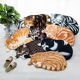 thumbnail image 3 of 1 pcs Cute Cat Shape Entrance Carpet Soft Dust Removal Polyester Thicken Anti-Slip Door Carpet Doormat Footpad Kitten Door Mat S 7, 3 of 8