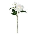 thumbnail image 1 of Vickerman VICK-FV190971 Vickerman 16" Pink Cream Peony Spray 6/Pk - FV190971, 1 of 3