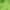 Lime, variant on Black Boy Infant Toddler Formal Vest Shorts Suit Extra Necktie S M L XL 2T 3T 4T