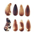 thumbnail image 4 of Novedad 1 paquete Guzheng Finger Picksoove & Zither Nails Portable --Medio Yuyangstore Guzheng Finger Picks, 4 of 7