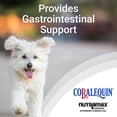 thumbnail image 3 of Nutramax Cobalequin B12 Small Dog & Cat Supplement, 45 count, 3 of 5