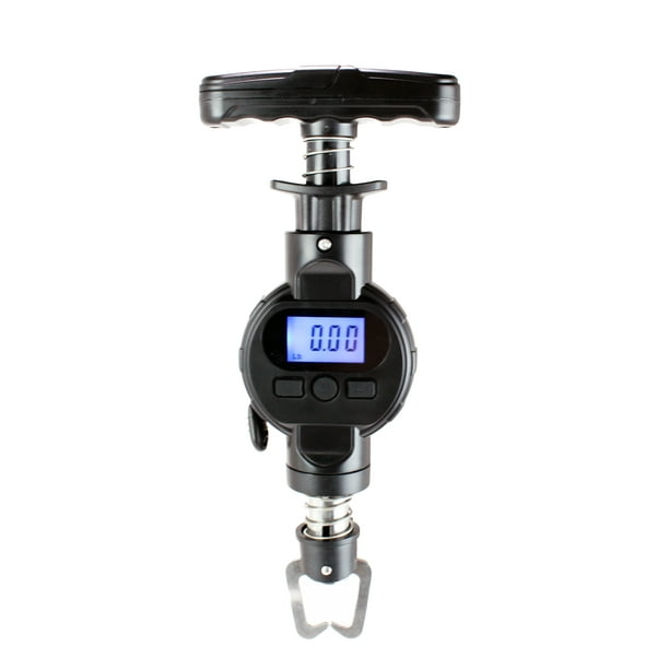 Fish Logger Smart Scale