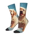 thumbnail image 1 of Fotbe Cute Angel Winged Dog Calcetas Largas con Estampado para Hombre y Mujer – Calcetas de Compresión Transpirables y Elásticas, Viajar y Uso Diario Talla 5-11, 1 of 6